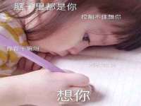 五莲县猪头山度假村有限公司