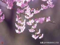 五莲县猪头山度假村有限公司