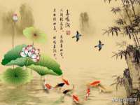五莲县猪头山度假村有限公司