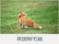 五莲县猪头山度假村有限公司
