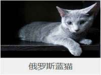五莲县猪头山度假村有限公司
