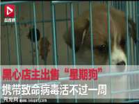 五莲县猪头山度假村有限公司