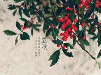 五莲县猪头山度假村有限公司