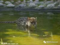 五莲县猪头山度假村有限公司