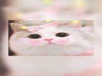 五莲县猪头山度假村有限公司