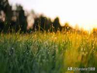 五莲县猪头山度假村有限公司