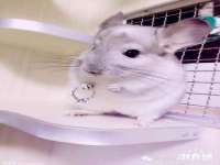 五莲县猪头山度假村有限公司