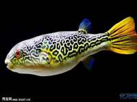 五莲县猪头山度假村有限公司