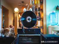 五莲县猪头山度假村有限公司