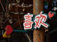 五莲县猪头山度假村有限公司