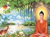 五莲县猪头山度假村有限公司